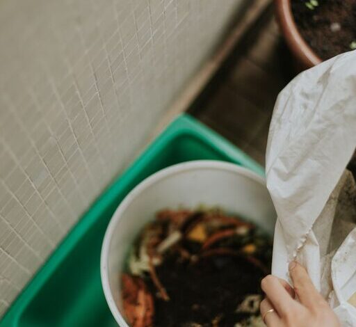 Simple Ways to Reduce Food Waste at Home